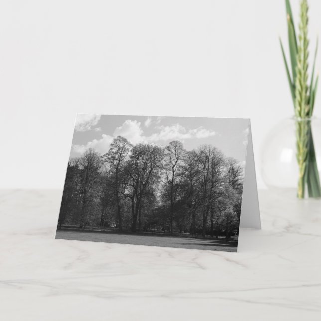 Tarjeta Paisaje del parque, Bute Park, Cardiff, Gales, Rei (Anverso)