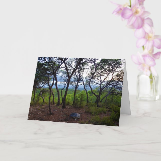 Tarjeta Paisaje Forestal Español (Orquídea)