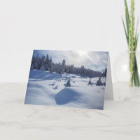 Paisaje Nevado