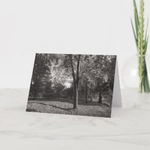 Tarjeta Paisaje otoñal, Parque Bute, Cardiff