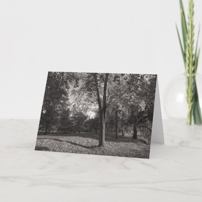 Tarjeta Paisaje otoñal, Parque Bute, Cardiff (Anverso)