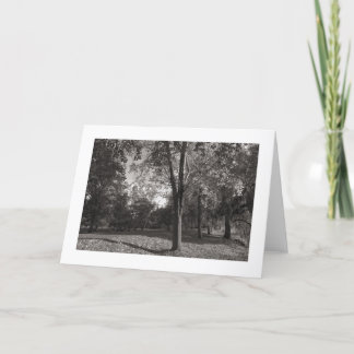 Tarjeta Paisaje otoñal, Parque Bute, Cardiff (bordeado)