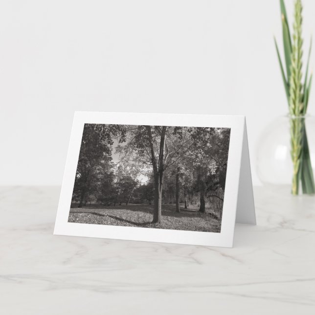 Tarjeta Paisaje otoñal, Parque Bute, Cardiff (bordeado) (Anverso)