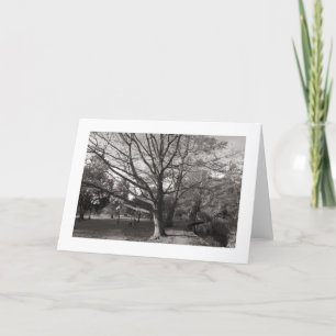 Tarjeta Paisaje otoñal, Parque Bute, Cardiff (bordeado)