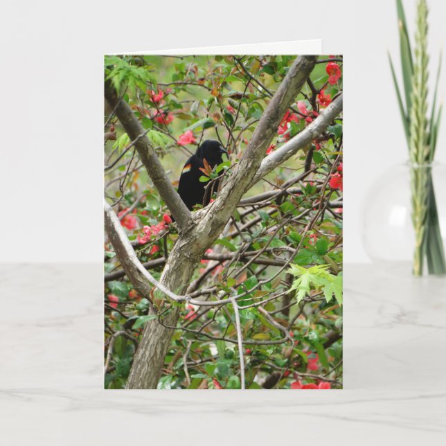 Tarjeta Pajarito rojo y floral (Anverso)