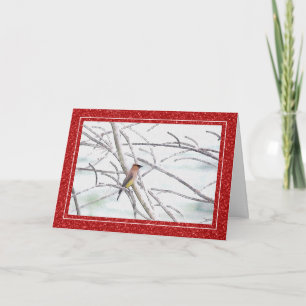 Tarjeta Pájaro Ampelis Americano Invierno Navidad