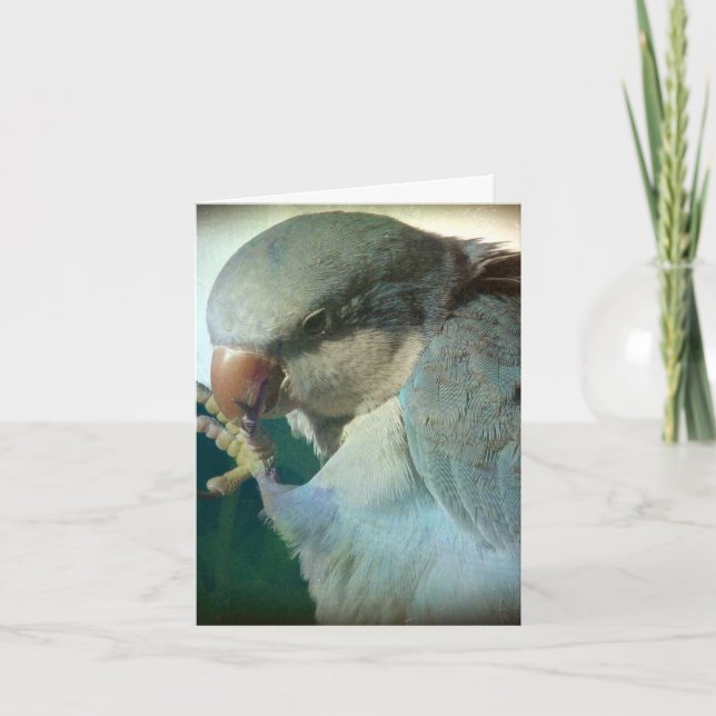 Tarjeta Pájaro bonito, cumpleaños (Anverso)