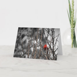 Tarjeta Pájaro cardinal, carta
