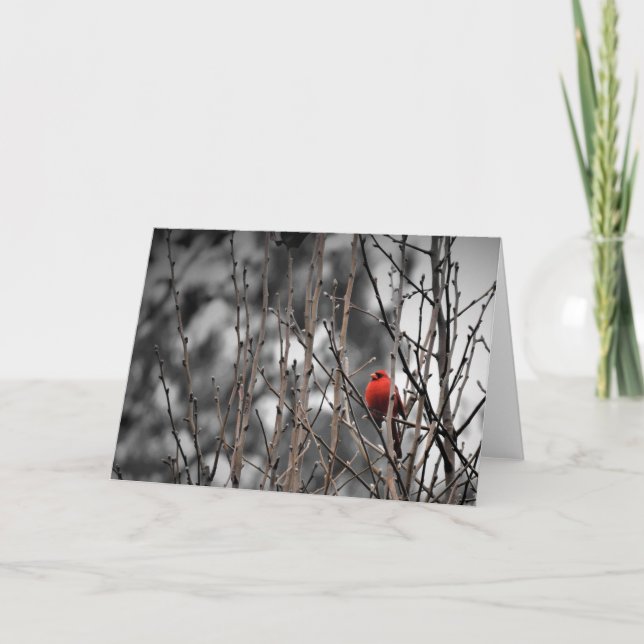 Tarjeta Pájaro cardinal, carta (Anverso)