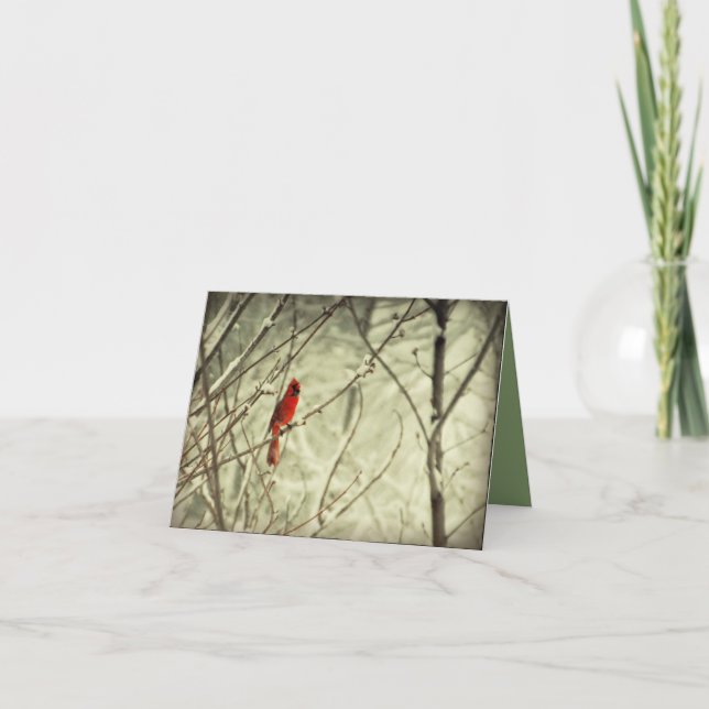 Tarjeta Pájaro cardinal septentrional rojo hermoso (Anverso)