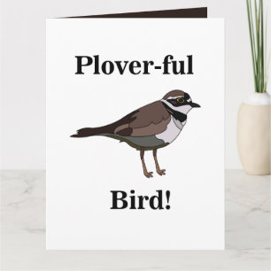 Tarjeta Pájaro Chorlito Pájaro Divertido Observador de Ave