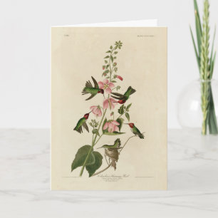 Tarjeta Pájaro colombiano (Anna's) que atrapa a los pájaro