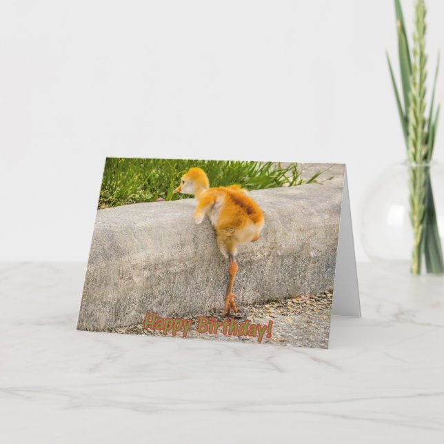 Tarjeta Pájaro de bebé del FELIZ CUMPLEAÑOS (Anverso)