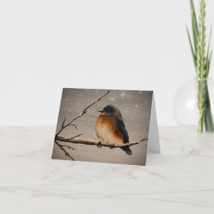 Tarjeta Pájaro de Invierno