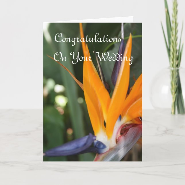 Tarjeta Pájaro de Paraíso de Felicitaciones de Boda (Anverso)