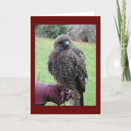 Tarjeta Pájaro de Prey