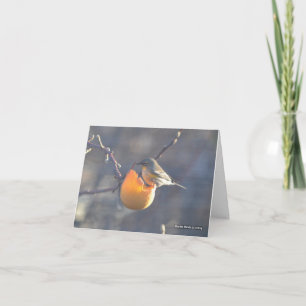 Tarjeta Pájaro en Apple Mitad-Comido