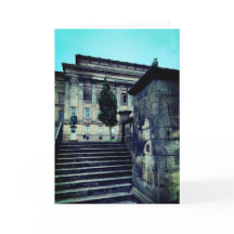 Pájaro en el parque