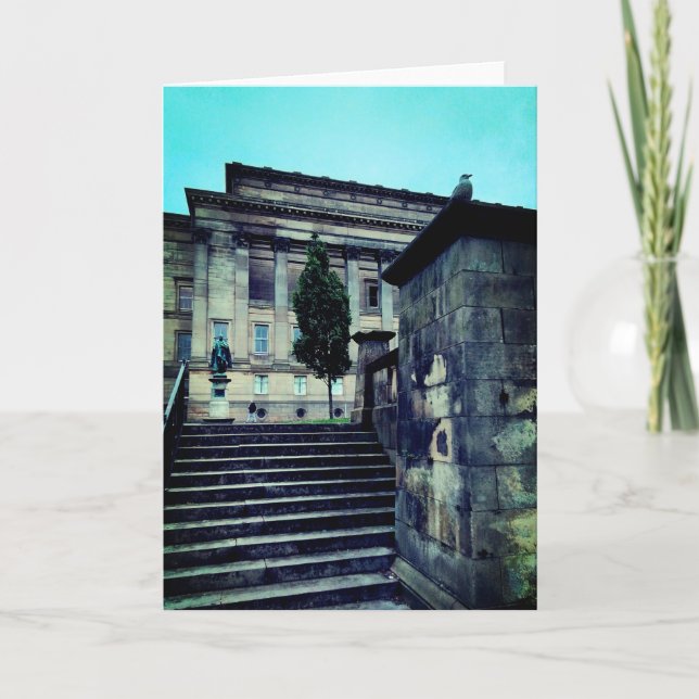 Tarjeta Pájaro en el parque (Anverso)