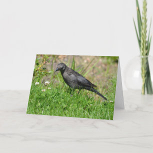 Tarjeta Pájaro en hierba pensando en ti