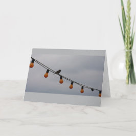 Tarjeta Pájaro en un alambre - arte de la foto