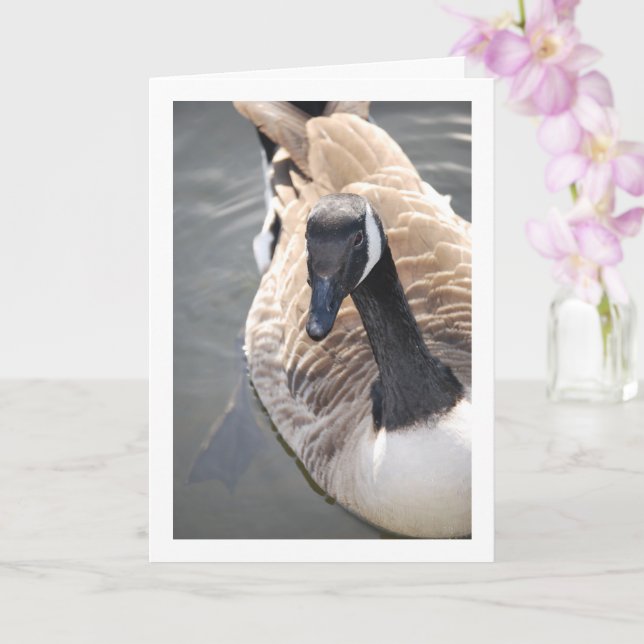Tarjeta Pájaro ganso en lago retrato (Orquídea)