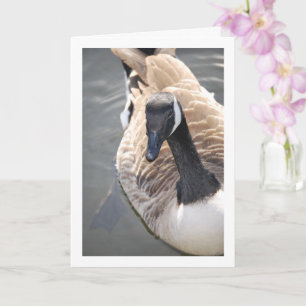 Tarjeta Pájaro ganso en lago retrato