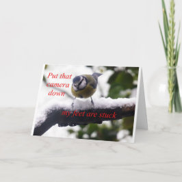 Tarjeta pájaro gracioso en la nieve