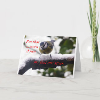 Tarjeta pájaro gracioso en la nieve