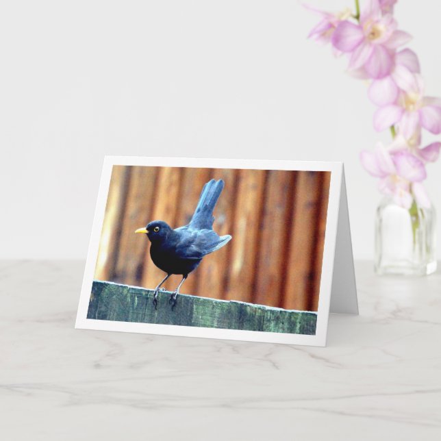 Tarjeta Pájaro negro sobre la cerca (Orquídea)