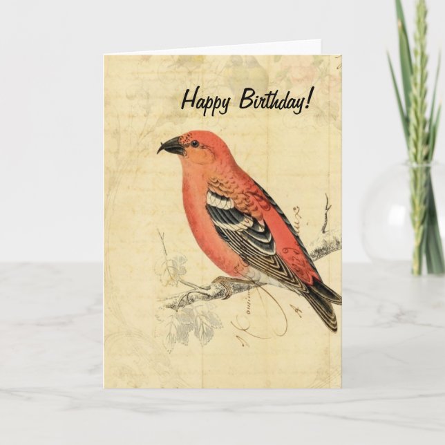 Tarjeta Pájaro Rosa Vintage, Cumpleaños (Anverso)