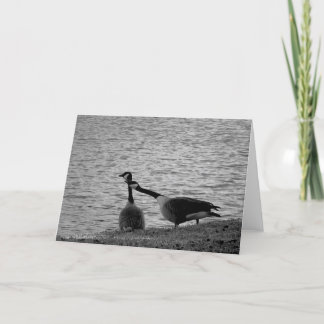 Tarjeta Pájaros B&W del amor