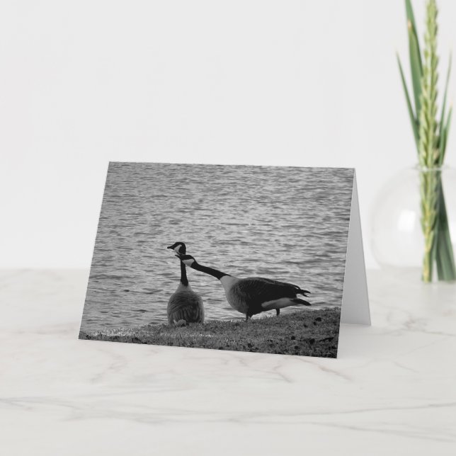 Tarjeta Pájaros B&W del amor (Anverso)