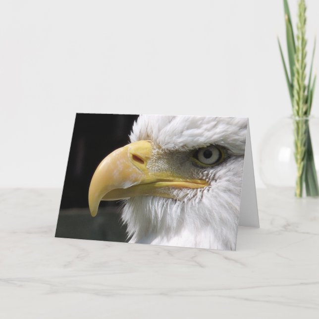TARJETA PÁJAROS DE EAGLE (Anverso)