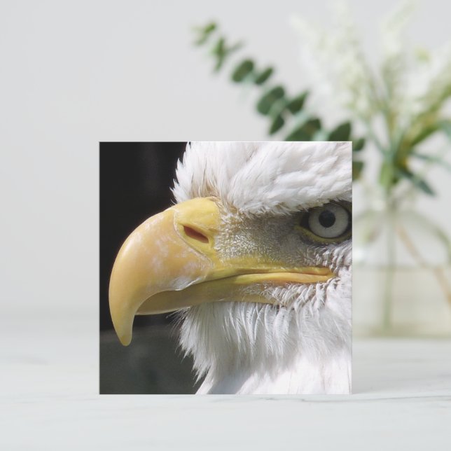 TARJETA PÁJAROS DE EAGLE (Anverso de pie)