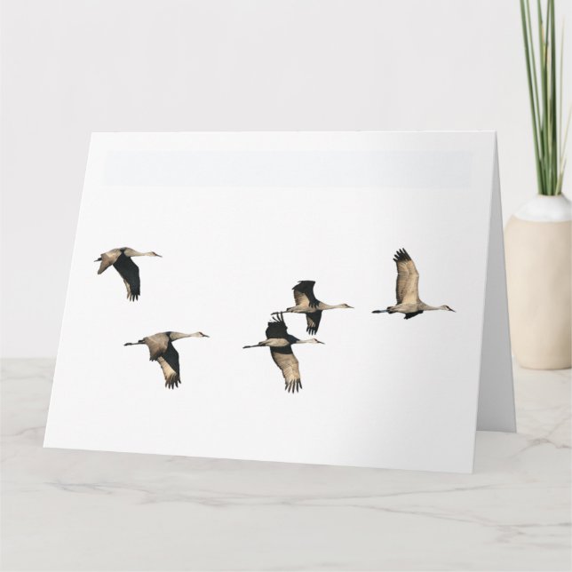 Tarjeta Pájaros de la grúa de Sandhill que vuelan la (Anverso)