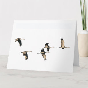 Tarjeta Pájaros de la grúa de Sandhill que vuelan la