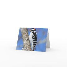 Pájaros de madera en un árbol de chispa