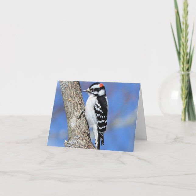 Tarjeta Pájaros de madera en un árbol de chispa (Anverso)