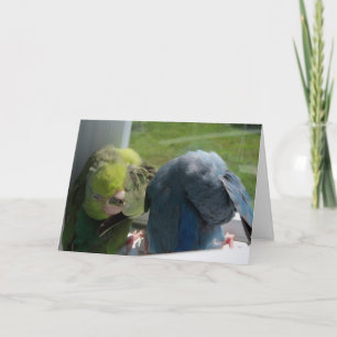Tarjeta Pájaros de perdigones Humourous Grecard Photo