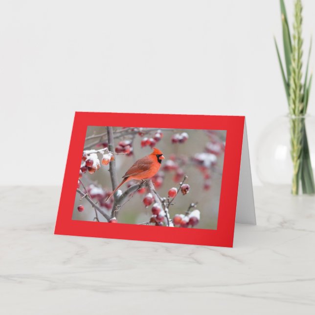 TARJETA ¡PÁJAROS DE UN PADRE/CELEBRACIÓN JUNTOS CUMPLEAÑOS (Anverso)
