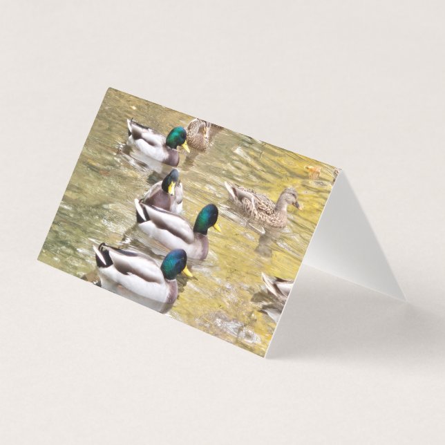 Tarjeta Pájaros en el estanque (Anverso)