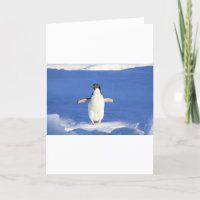 Pájaros pingüinos con nombre personal blanco negro