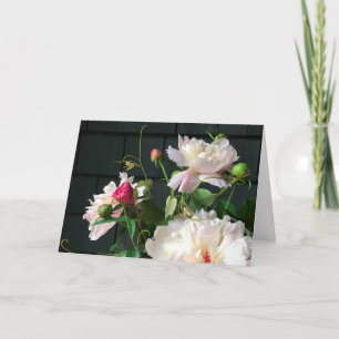 Tarjeta Pale Pink Peonies 2020 por Diane Heller