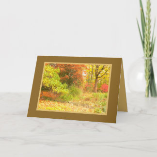TARJETA "PALETA DE OTOÑO" (BOSQUES BAÑADOS EN COLOR/FOTOG)