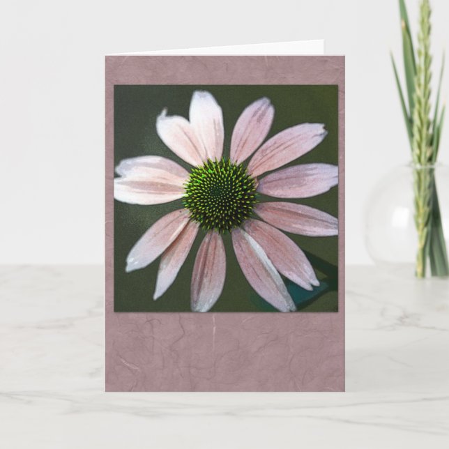 Tarjeta Palidezca - el echinacea rosado (Anverso)