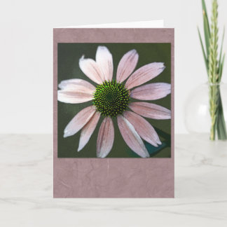 Tarjeta Palidezca - el echinacea rosado