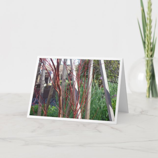 Tarjeta Palillos y participaciones rojos del blanco (Anverso)