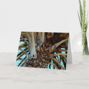 Tarjeta "Palm alegre" Cierre, arriba de árbol con cielo az