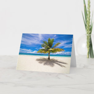 Tarjeta Palm on White Sand Beach